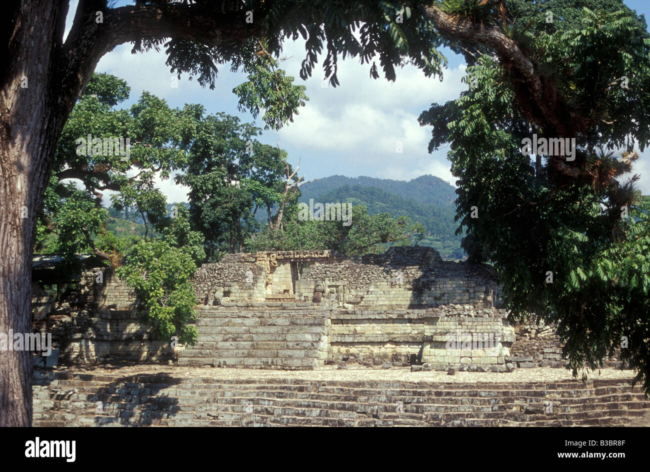 Tempel 22 bei den Maya Ruinen von Copan, Honduras, Mittelamerika Stockfoto