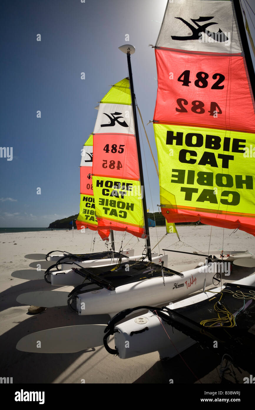 Geben Sie Hobie Cat Katamarane auf der Insel Groix (Frankreich). Voiliers Katamarane de Typ Hobie Cat Sur l'Île de Groix. Stockfoto