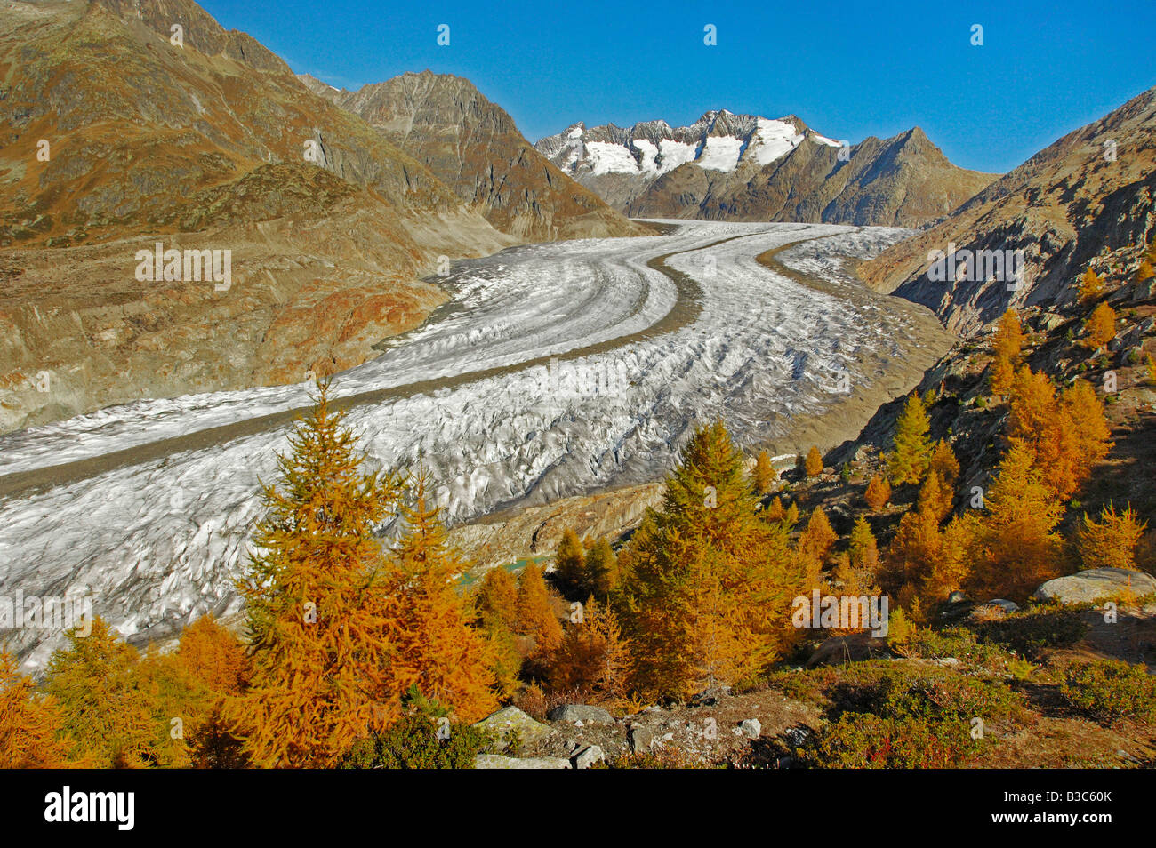 Aletschgletscher im Herbst Wallis Schweiz Stockfoto