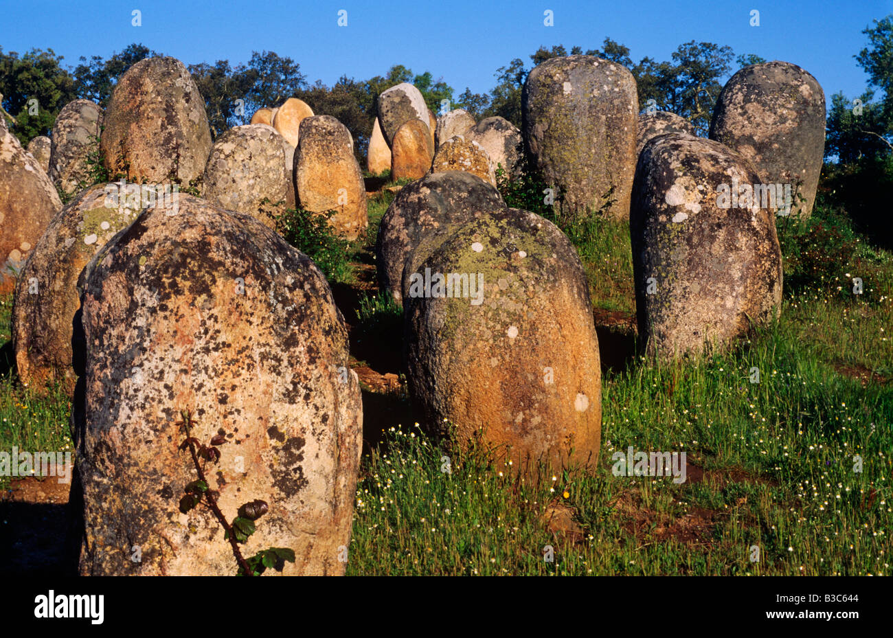 Portugal, Alentejo, Cromlech von Almendres. Die Almendres Cromlech Megalith-Anlage in der Nähe von Guadalupe, Evora ist eines der frühesten öffentlichen Denkmäler. Es ist die größte bestehende Gruppe von strukturierten Menhiren auf der iberischen Halbinsel, und eines der größten in Europa. Stockfoto