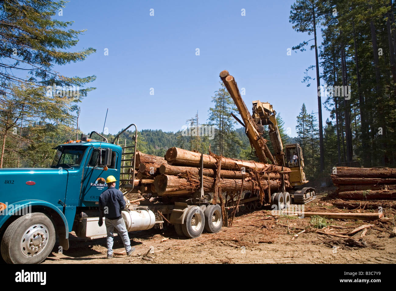 Protokollierung der Redwoods in Nordkalifornien Stockfoto