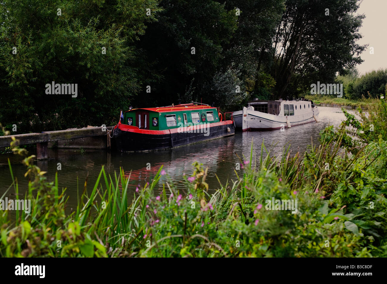 Kanal Lastkähne vertäut am Fluss Stort in Harlow Town Park Essex UK Stockfoto