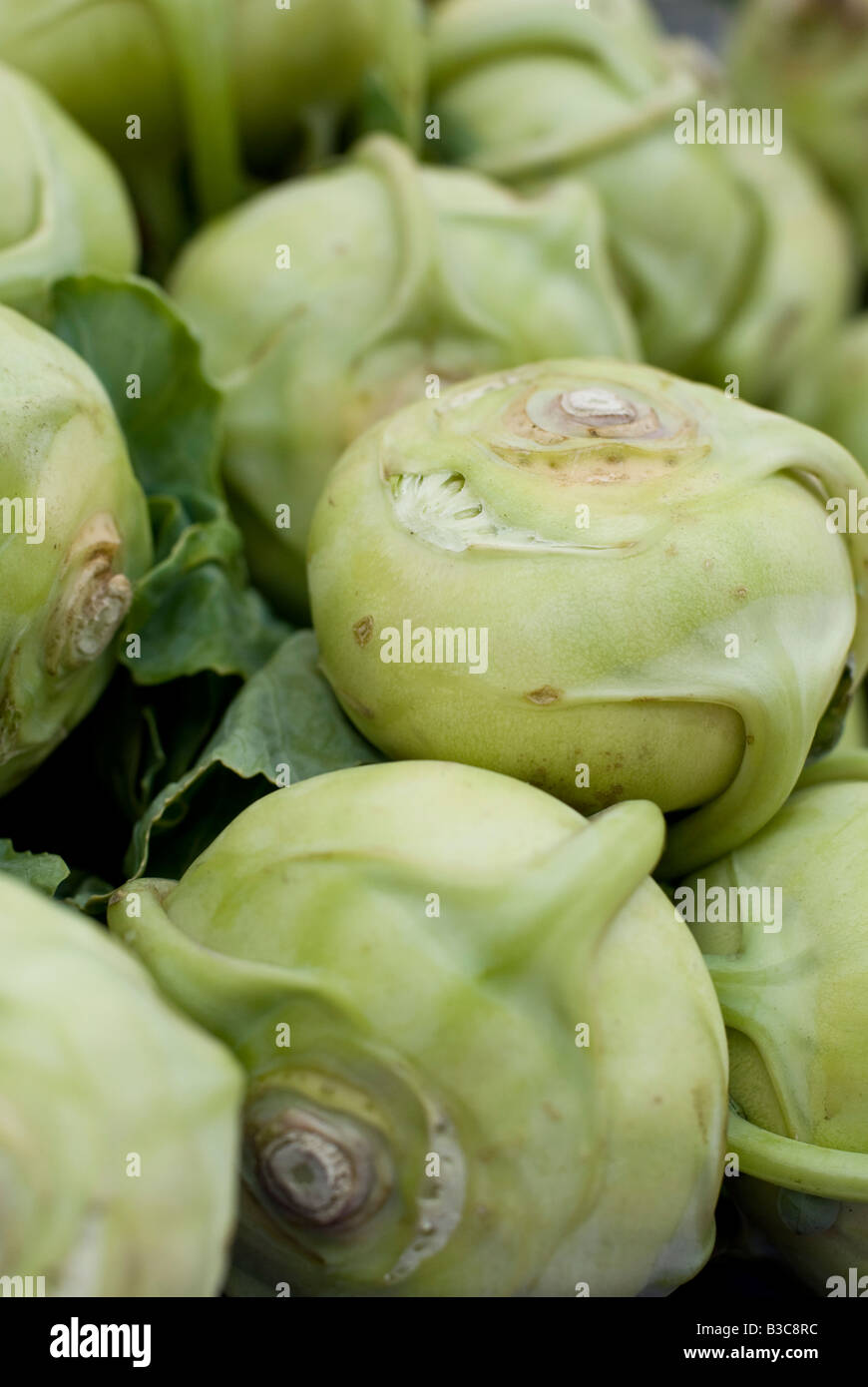 Bio Kohlrabi zum Verkauf an einen Bauernmarkt Stockfoto