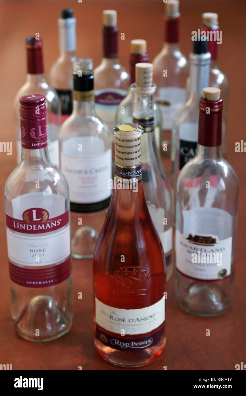 Viele leere rote Weinflaschen eine volle Flasche Detail Alkohol Alkohol trinken Getränke Stockfoto