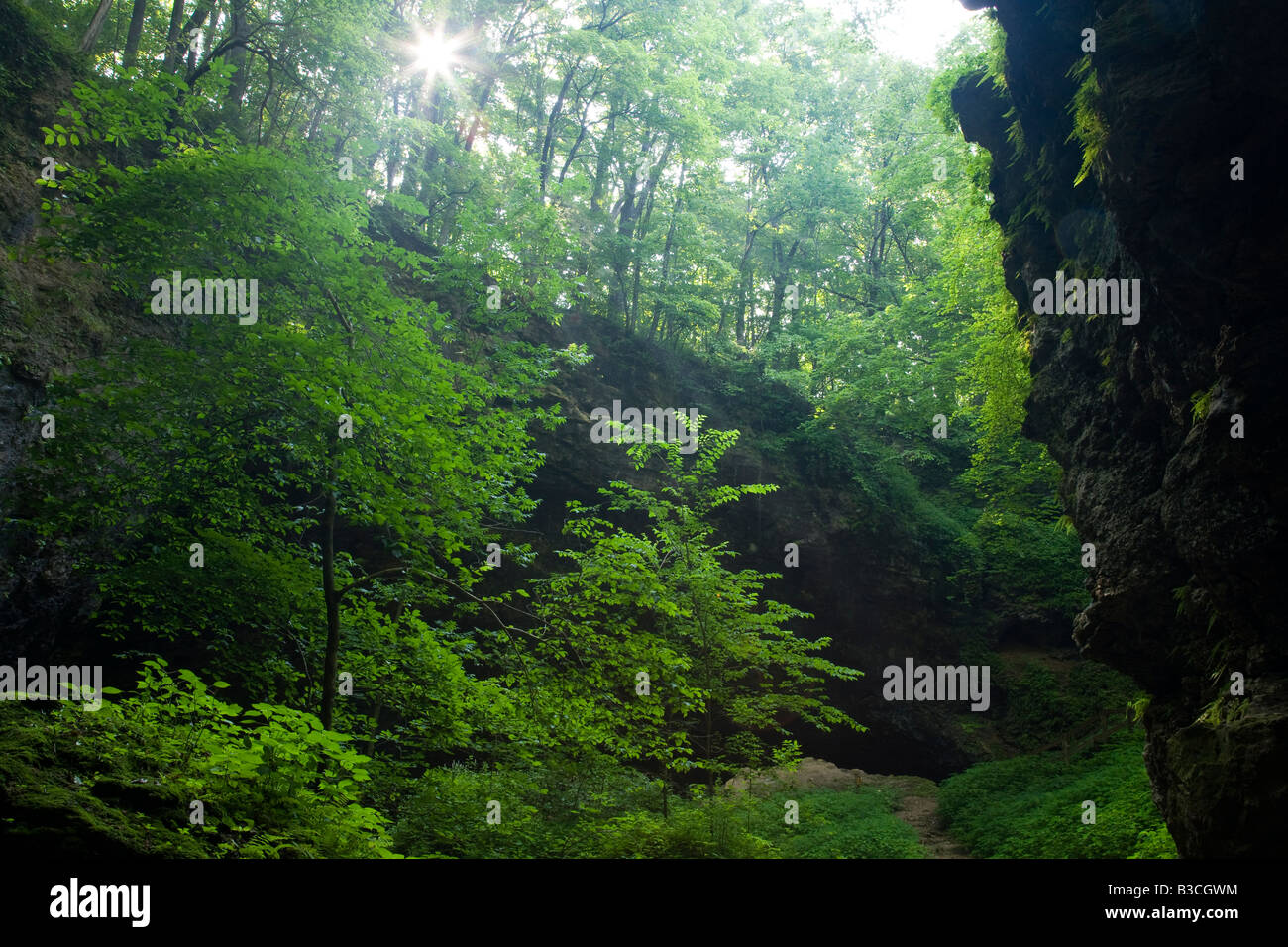 Sonne über Kalkstein Bluff, Maquoketa Höhlen Staatspark, Iowa Stockfoto