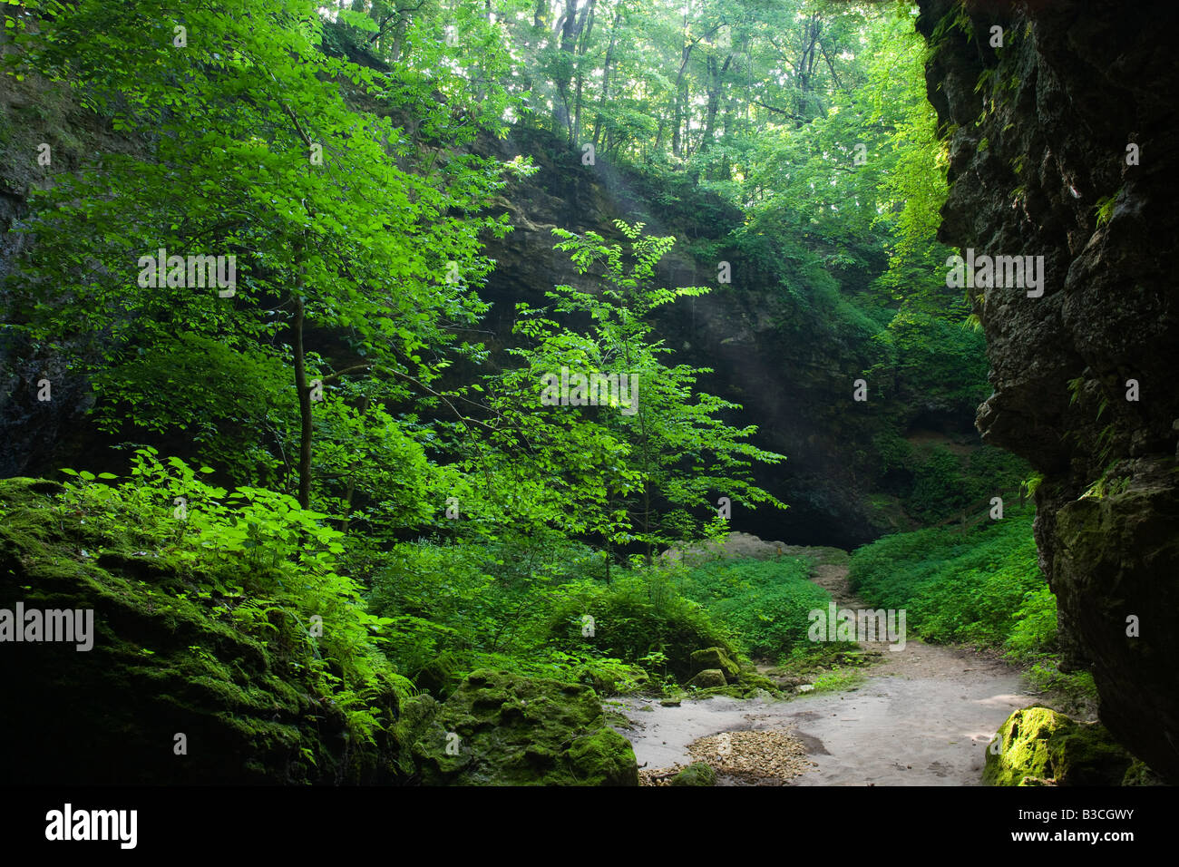 Sonne über Kalkstein Bluff, Maquoketa Höhlen Staatspark, Iowa Stockfoto