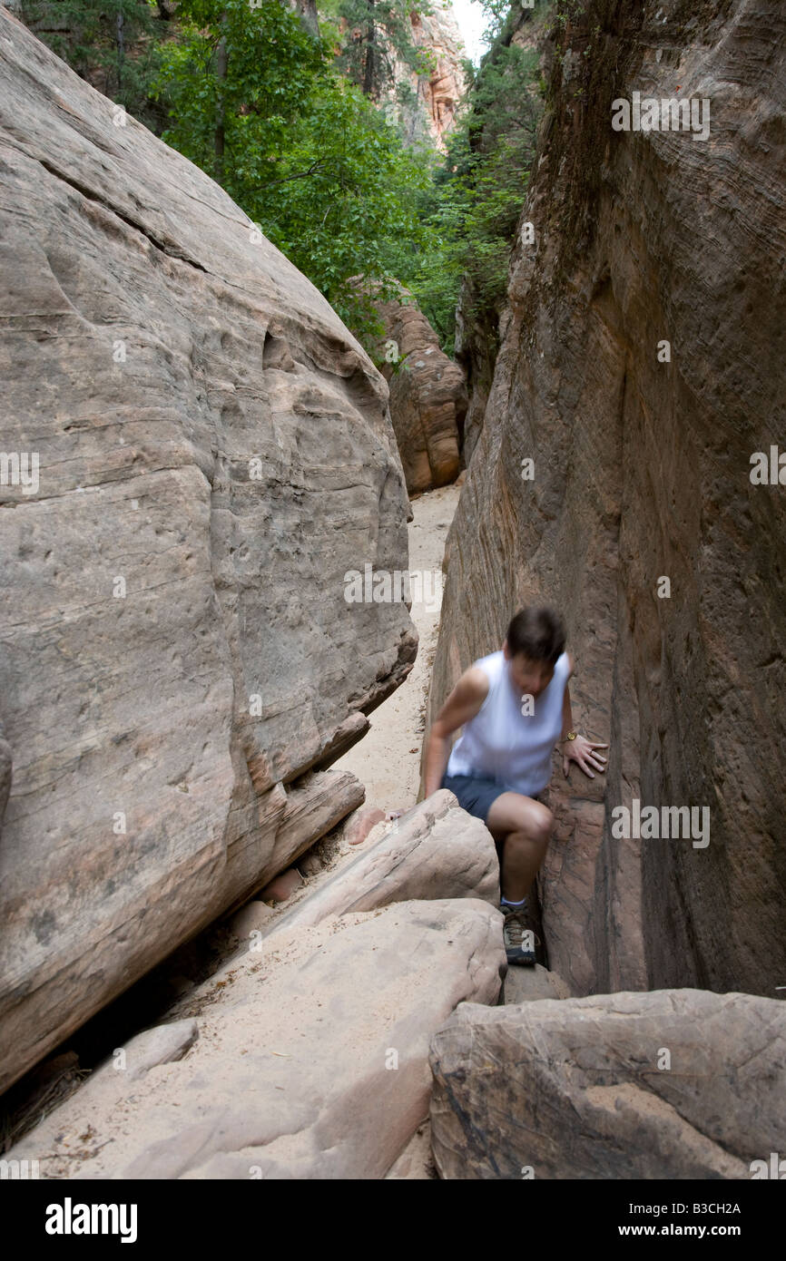 Wanderer im Hidden Canyon, Zion Nationalpark, Utah Stockfoto
