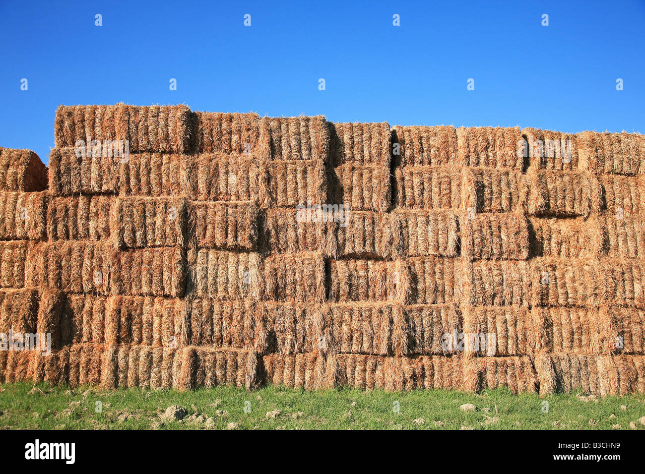 Strohballen Stapeln auf dem Feld Stockfoto