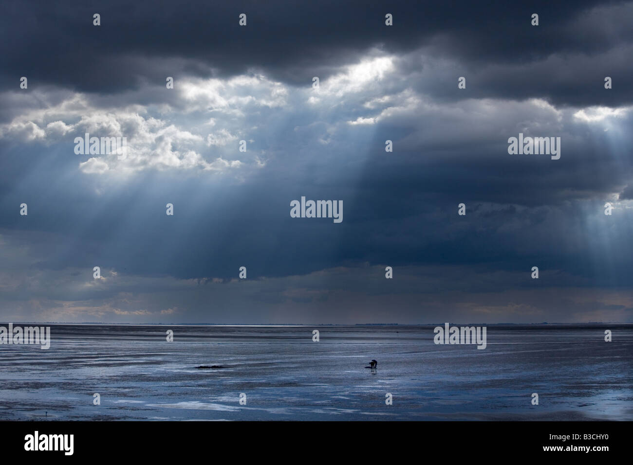 Die Wäsche bei Sandstraenden Norfolk UK August Stockfoto