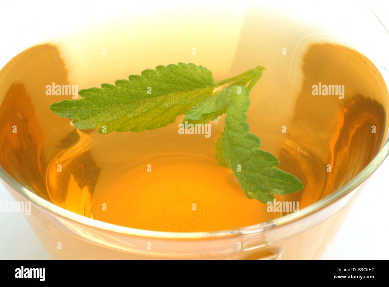 medizinischer Tee gemacht, der Balsam Zitronenmelisse süße frische Melissenblätter und eine Tasse Tee Kraut Heilpflanze Citronella Melissa Vera te Stockfoto