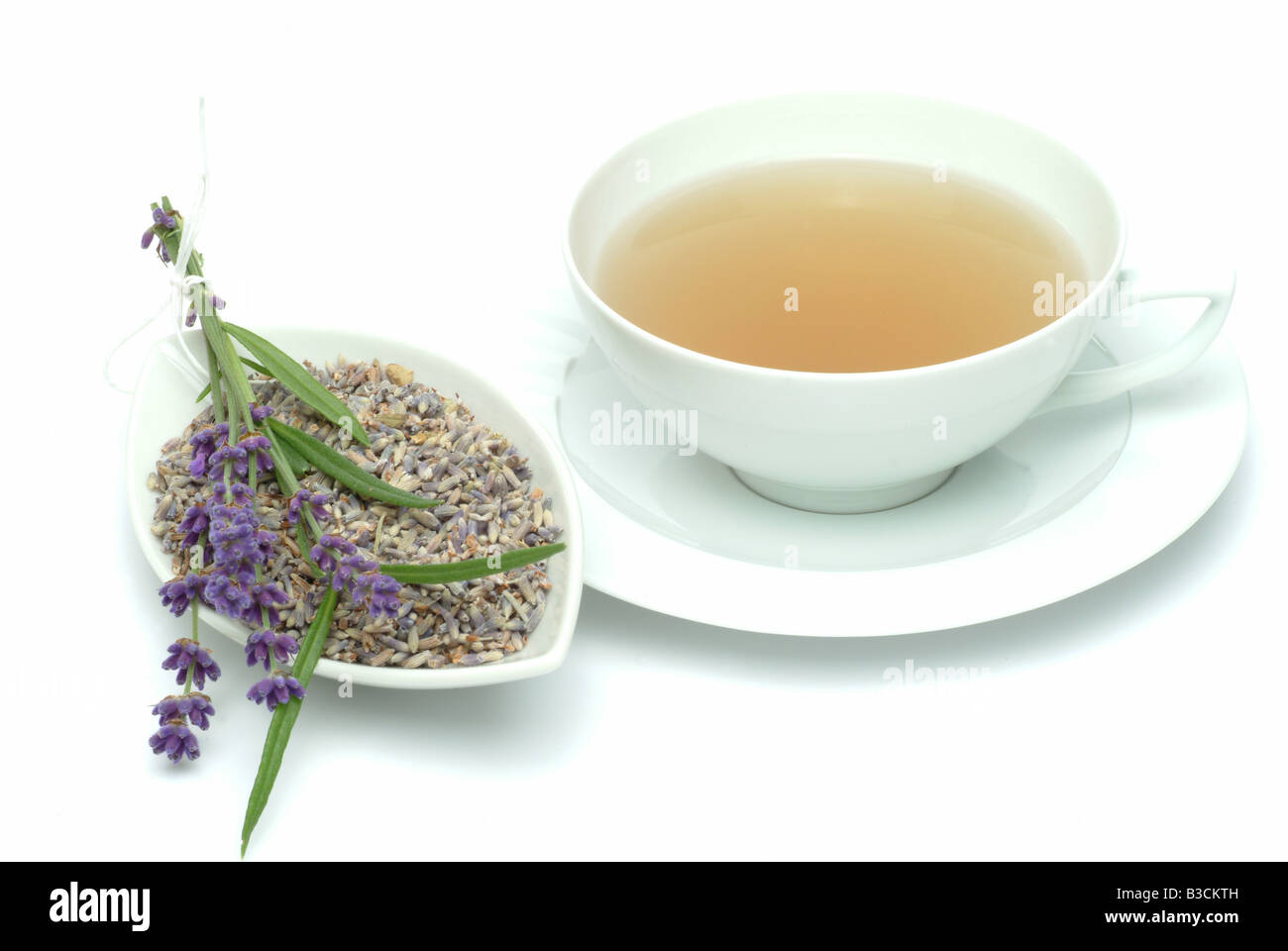 Heilkräuter Tee und Blüten der Heilpflanze Lavendel Lavendula Officinalis Vulgaris angustifolia Stockfoto