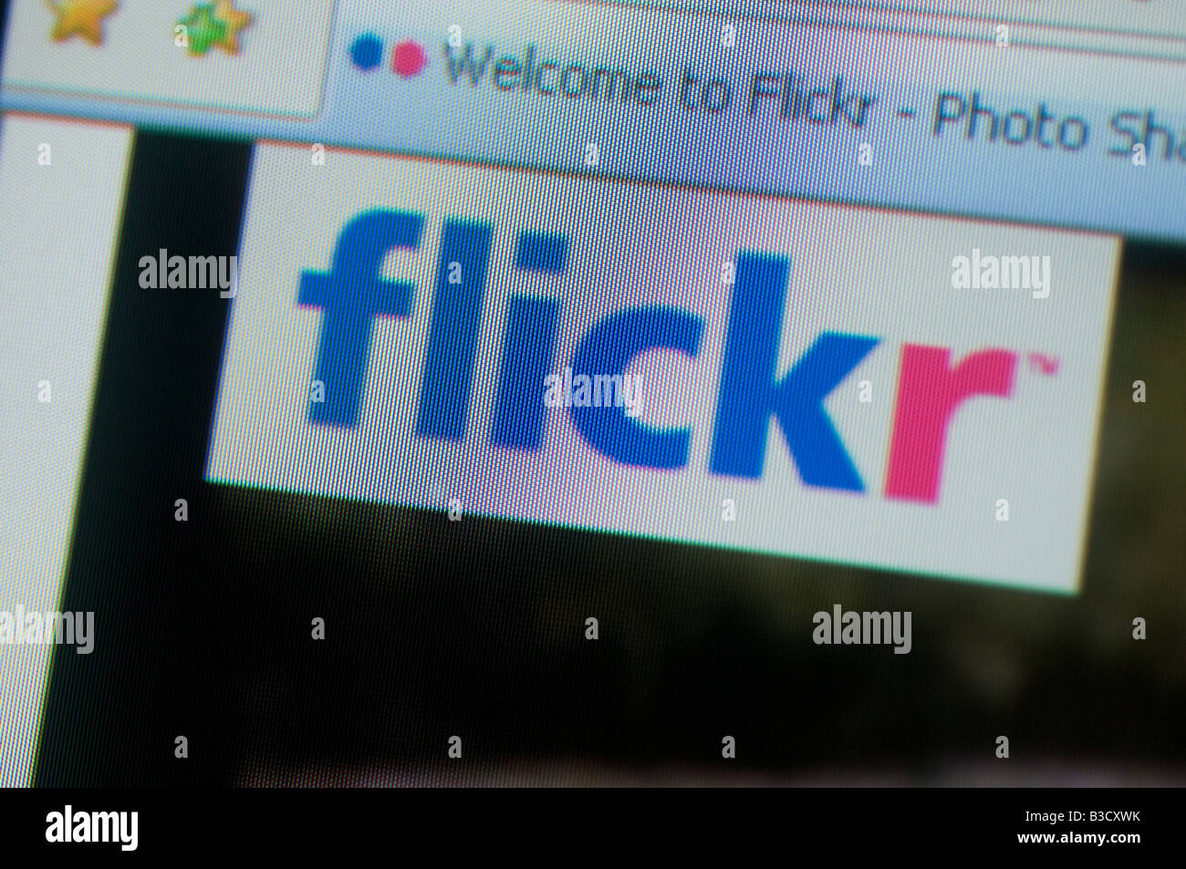 Das Logo von Flickr wird auf einem Computerbildschirm angezeigt. Stockfoto