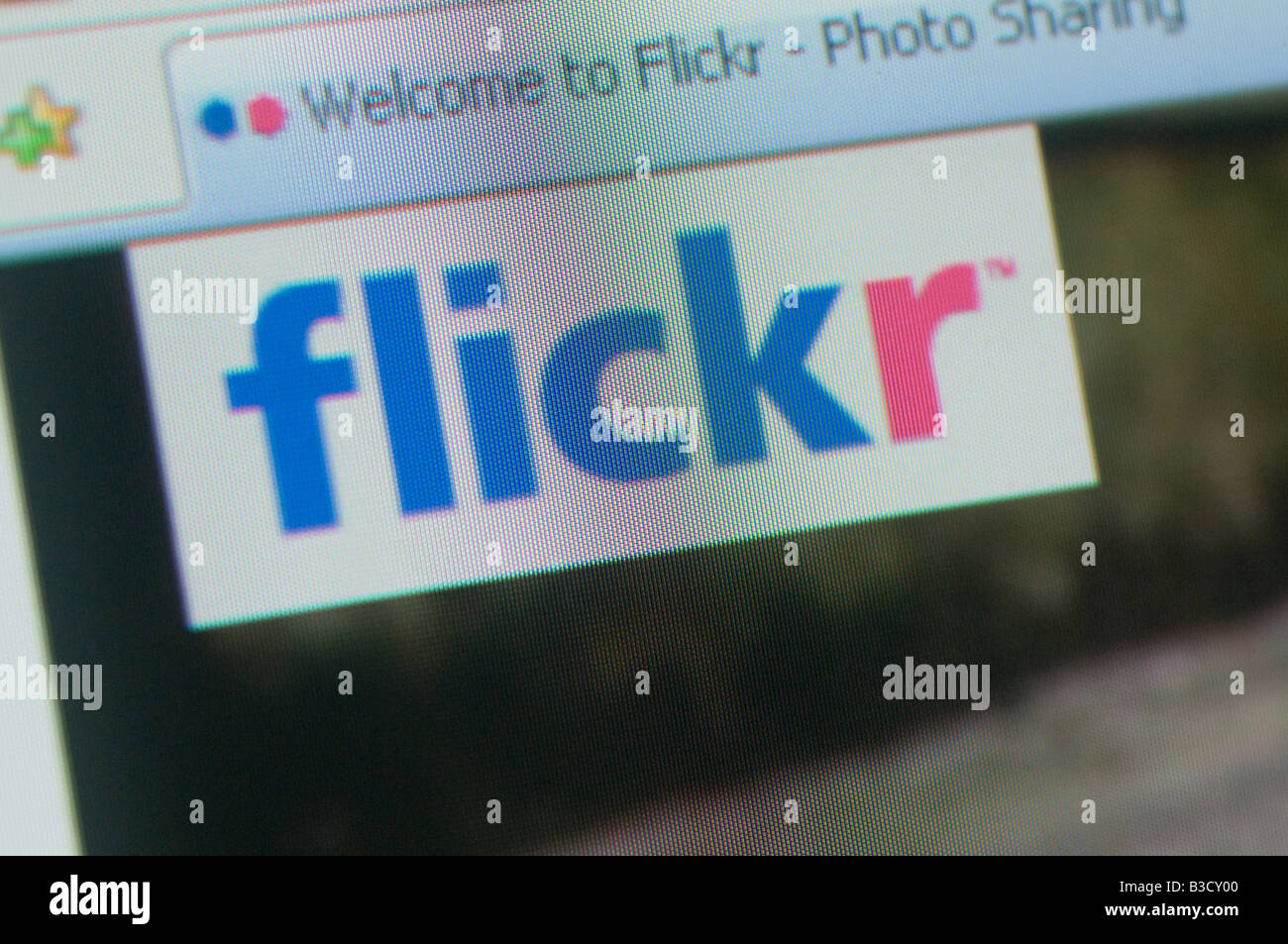 Das Logo von Flickr wird auf einem Computerbildschirm angezeigt. Stockfoto