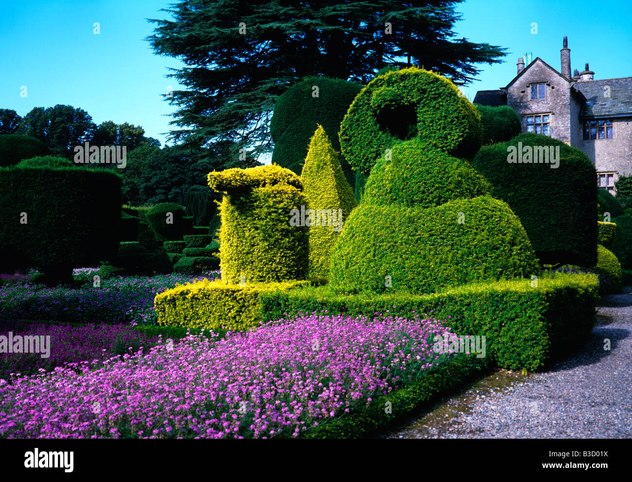 Die Topiary Garten in Levens Hall Cumbria Stockfoto