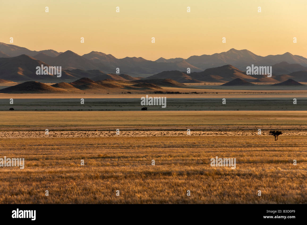 Afrika steppe Fotos und Bildmaterial in hoher Auflösung Alamy