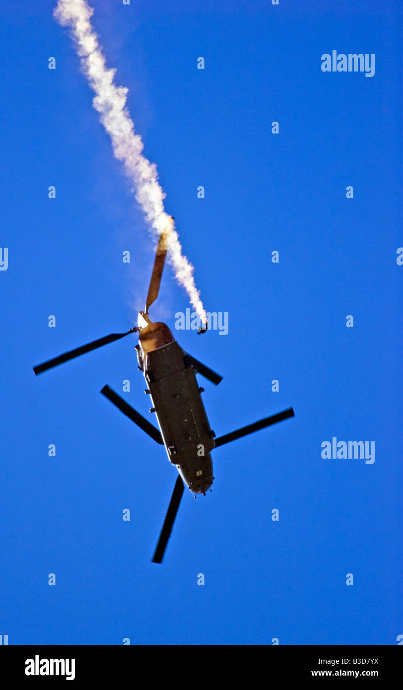 Die Tiger Freifall Fallschirm anzeigen Militärmannschaft an den Flügeln-Rädern anzeigen in Dunsfold Surrey UK 2008 Stockfoto