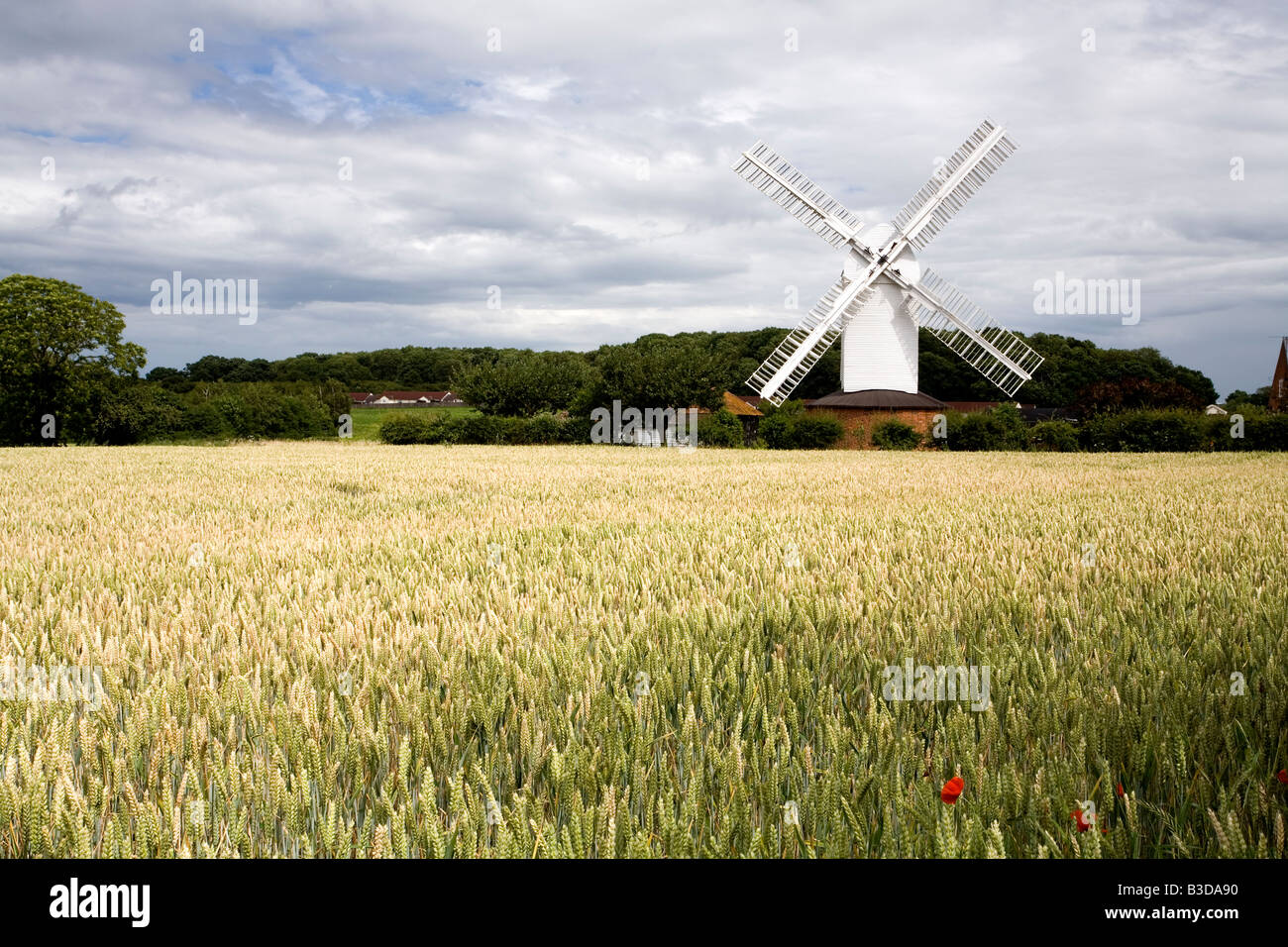 Funktionierende Windmühle, Gast Haus Tee Zimmer und Besucher Attraktion im Dorf Stanton Suffolk Stockfoto