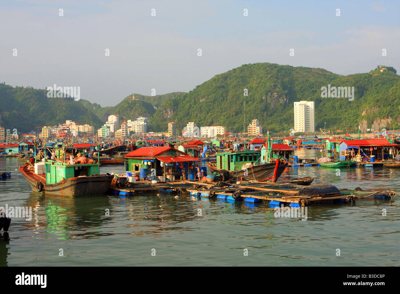 Schwimmende Fische Höfe und Häuser von Cat Ba Island, Vietnam Stockfoto