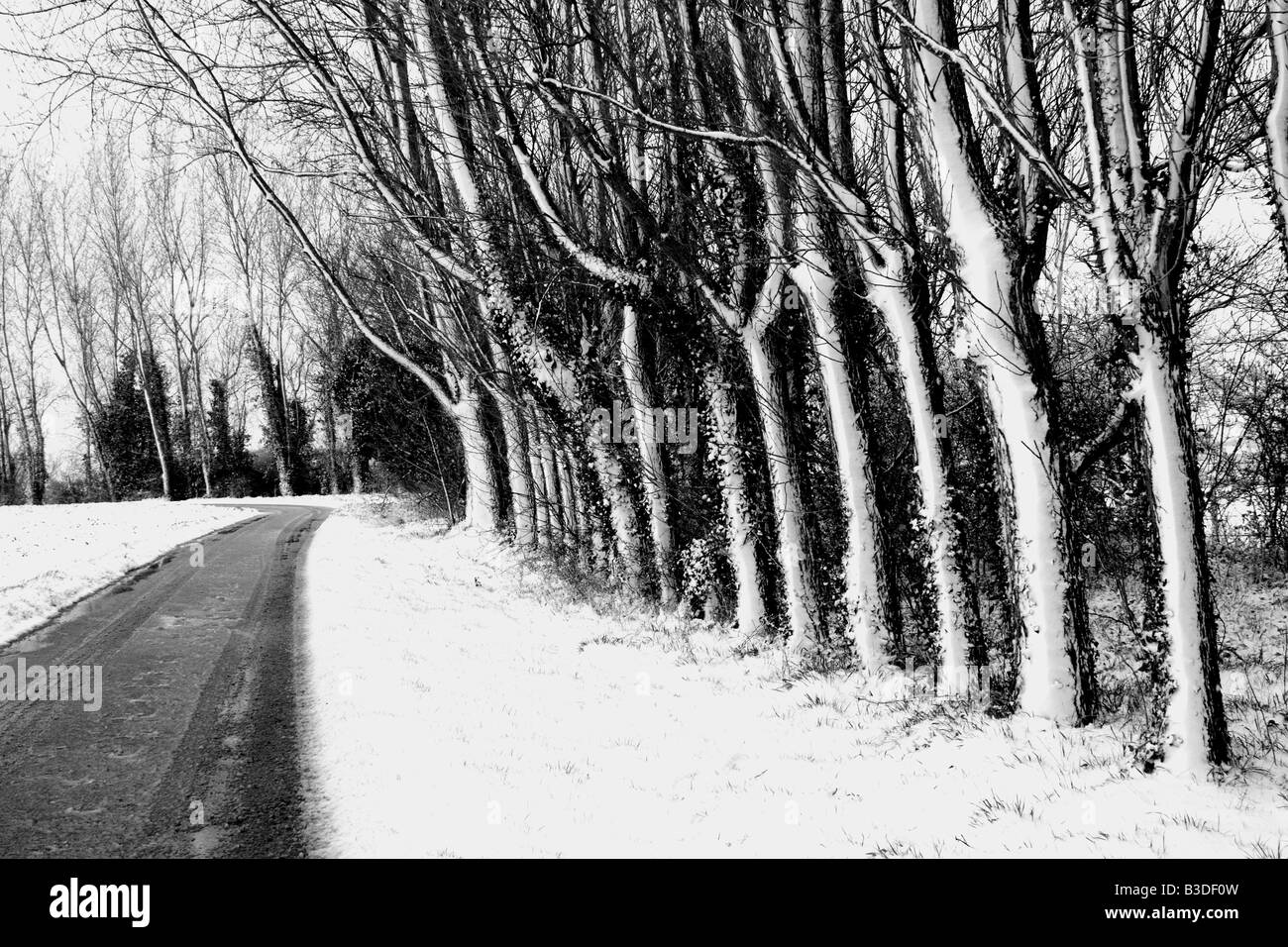 Schwarz & weißen Schnee-Szene in Pagham, West Sussex Stockfoto