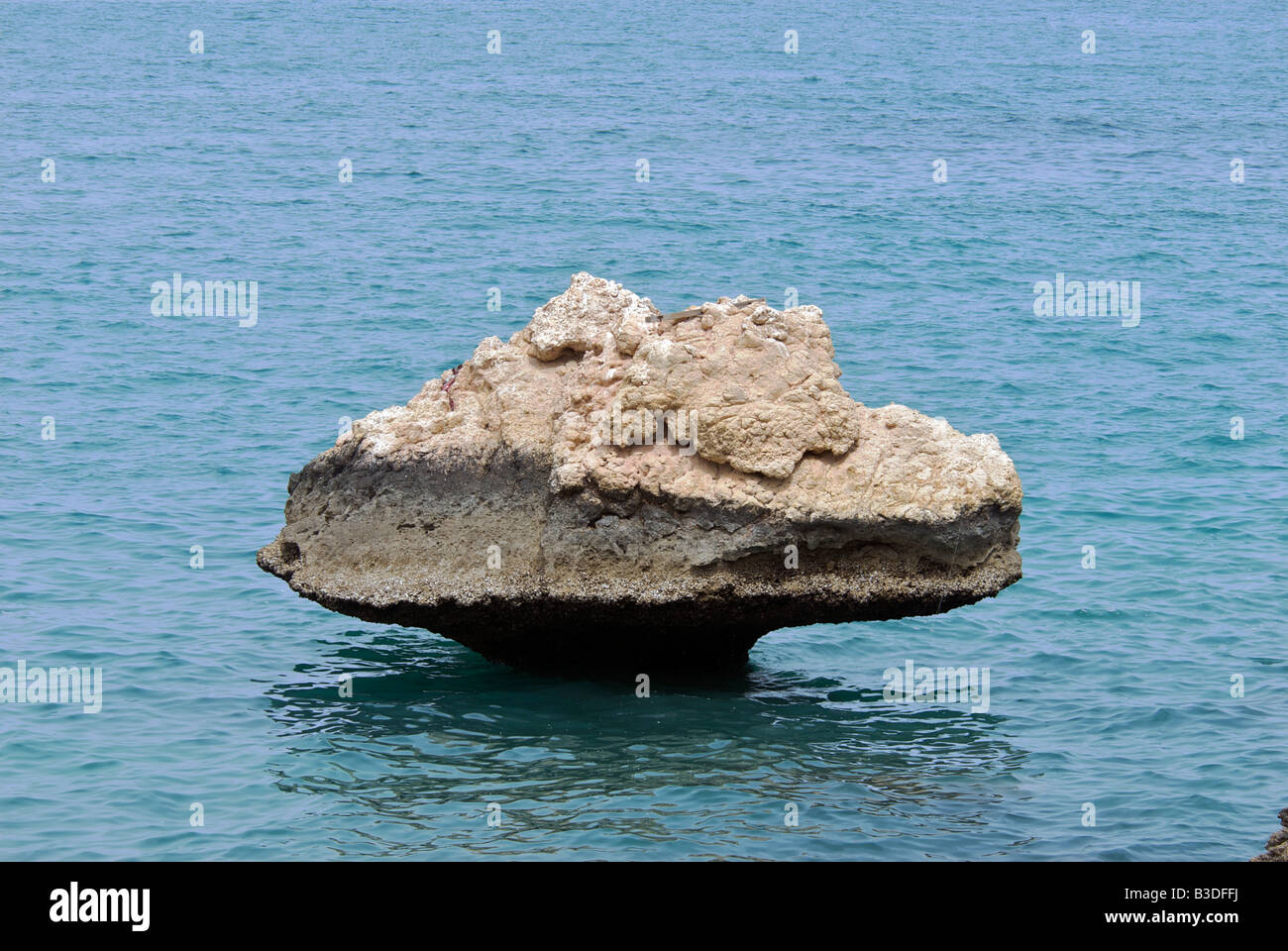 Pilz Sandsteinformation von Marine Verwitterung Tiwi Sharqiya Region Sultanat von Oman Stockfoto