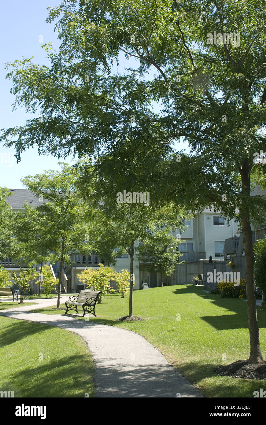 Blick auf Park Gasse mit Schatten Stockfoto