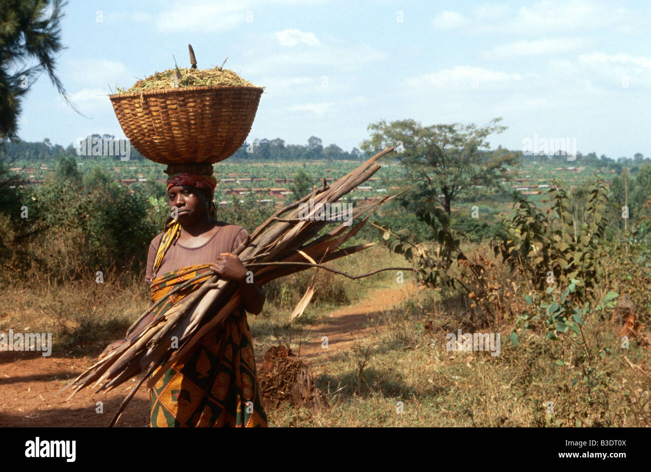 Frau mit Korb und Brennholz in Uganda. Stockfoto