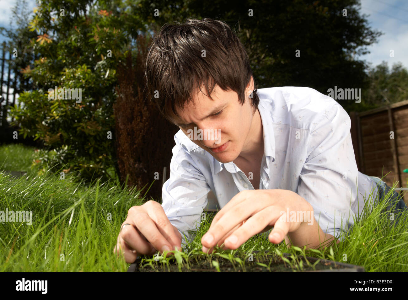 junge dunkelhaarig Mann späten Teenager frühen zwanziger Jahren tendenziell ein Tablett mit Petersilie Kraut Sämlinge in einem Garten Stockfoto