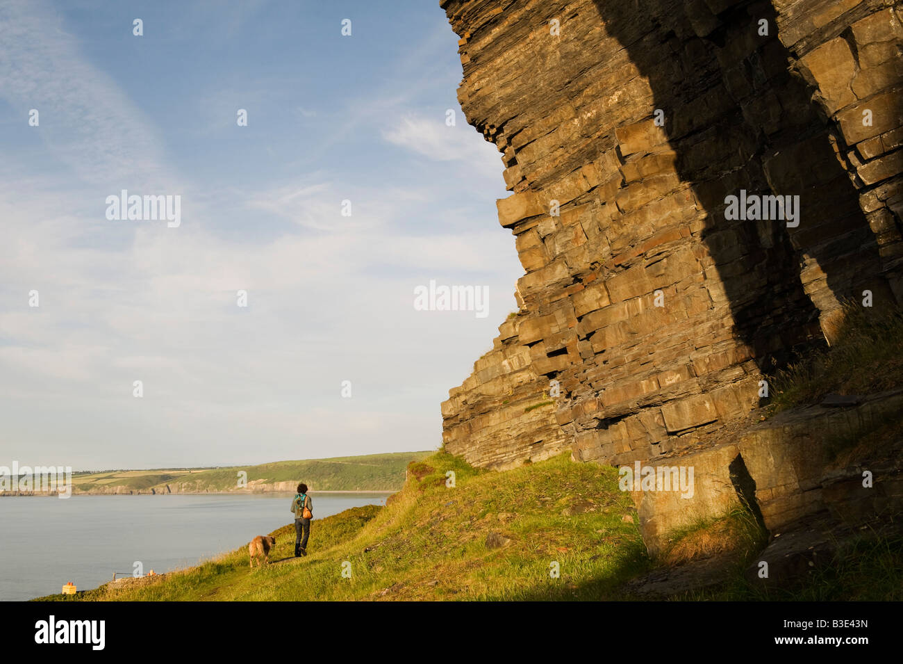 New Quay, Wales. Eine Frau, die ihren Hund auf dem Fußweg entlang der Küste unter dramatischen Felsschichten spazieren geht Stockfoto