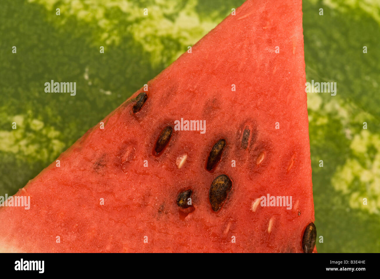 Schneiden Sie saftige rote Reife Wassermelone in Scheiben. Stockfoto
