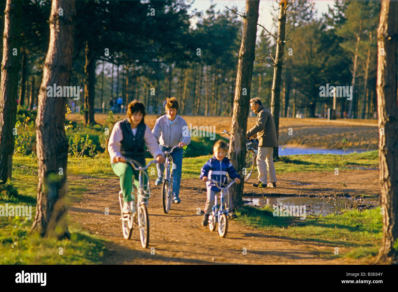 Familie Radfahren im Sherwood Forest Stockfoto