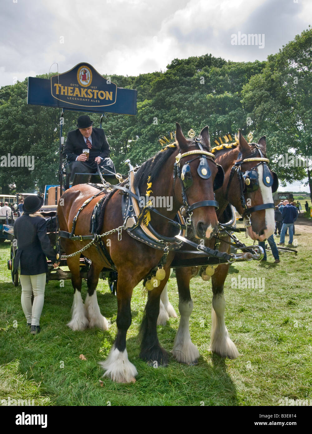 Schwere Pferde und Brewer es Blockwagen Masham Dampf Rallye Stockfoto