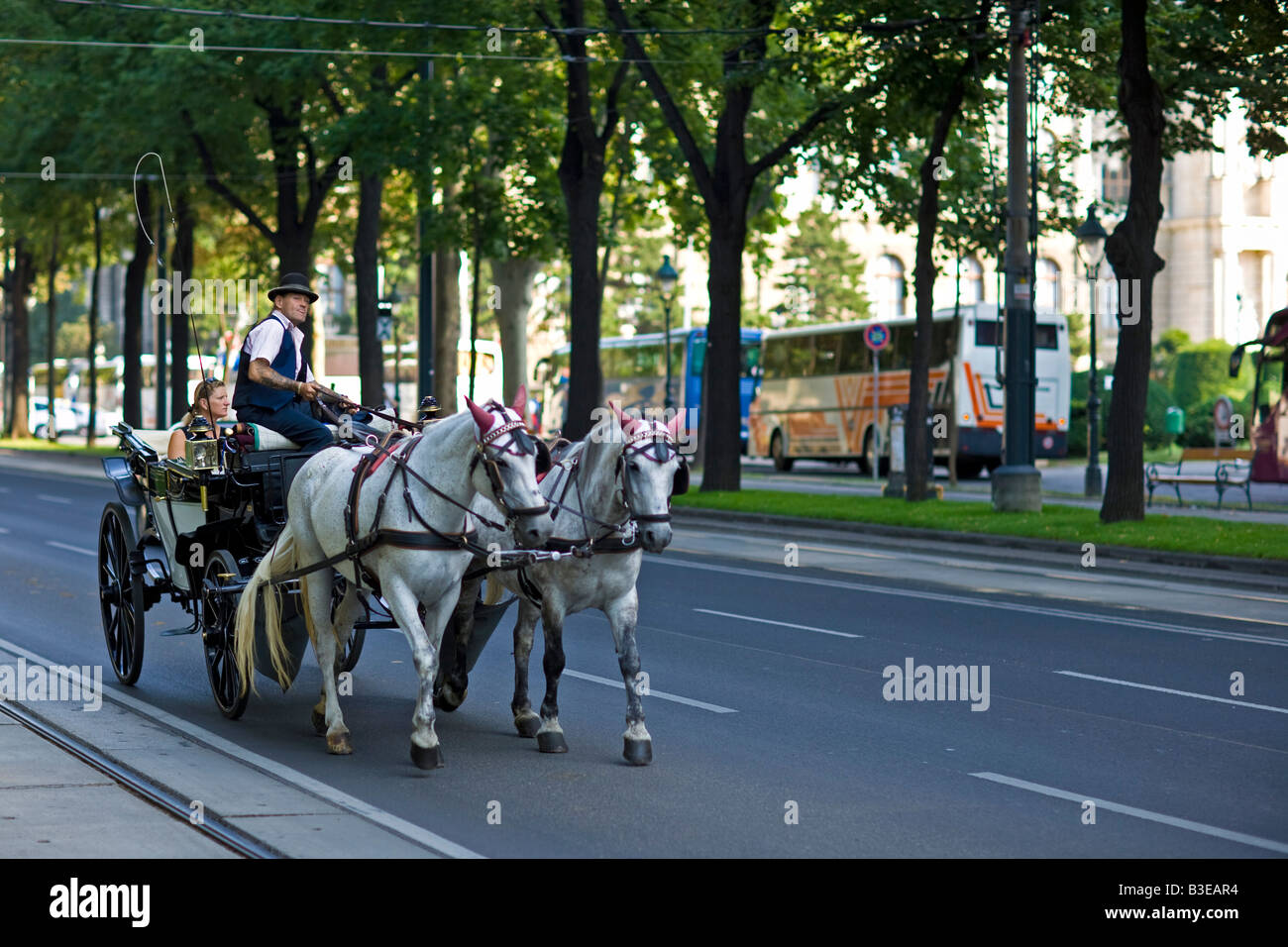 Fiaker traditionelle Wiener Pferdekutsche Stockfoto