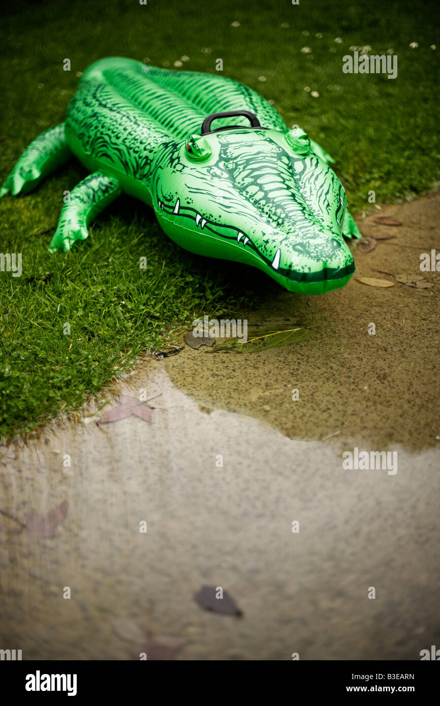 Aufblasbare Krokodil Serie Suburban Bedrohung Stockfoto