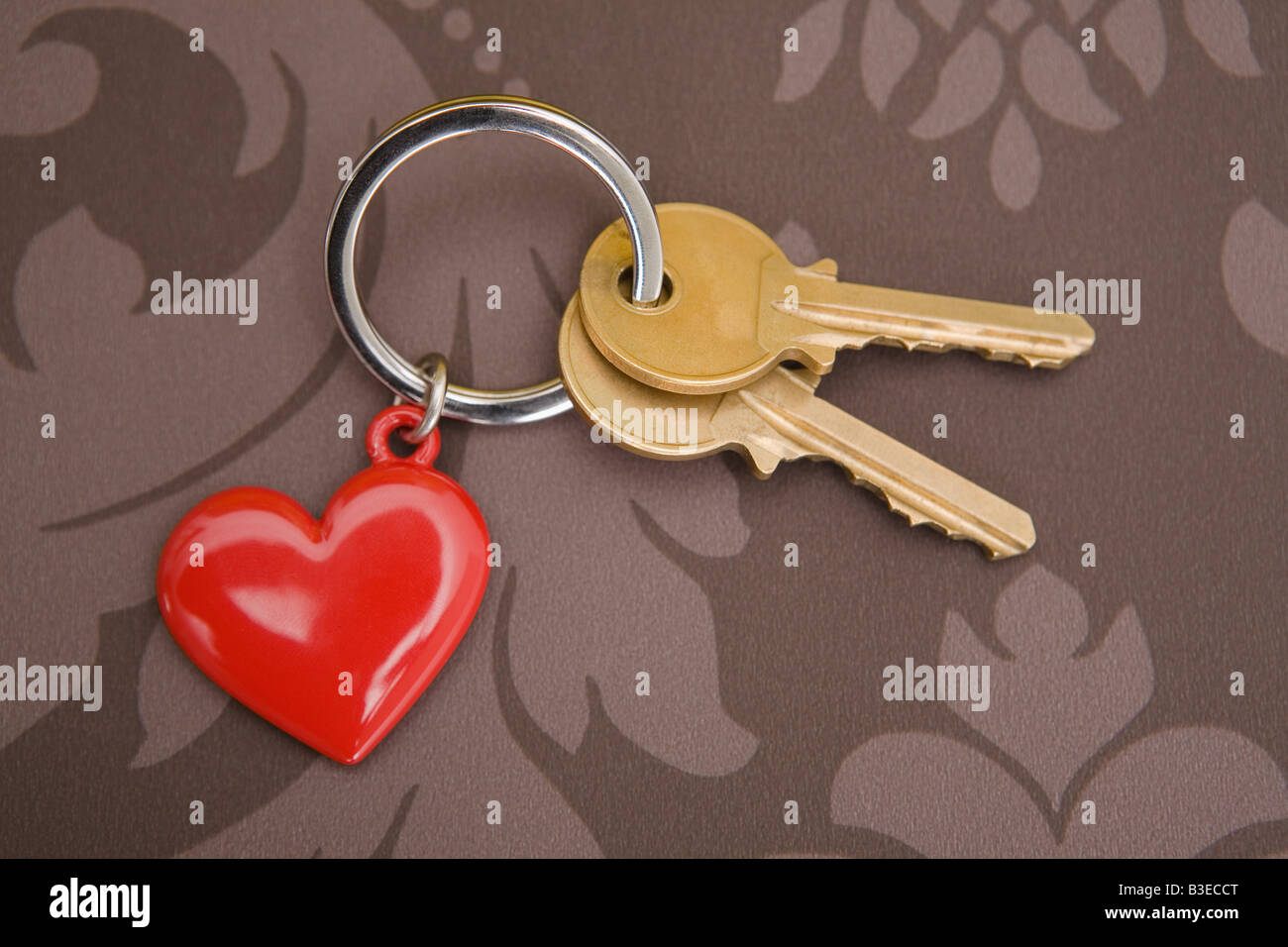 Schlüssel am Schlüsselring mit Herz Stockfoto