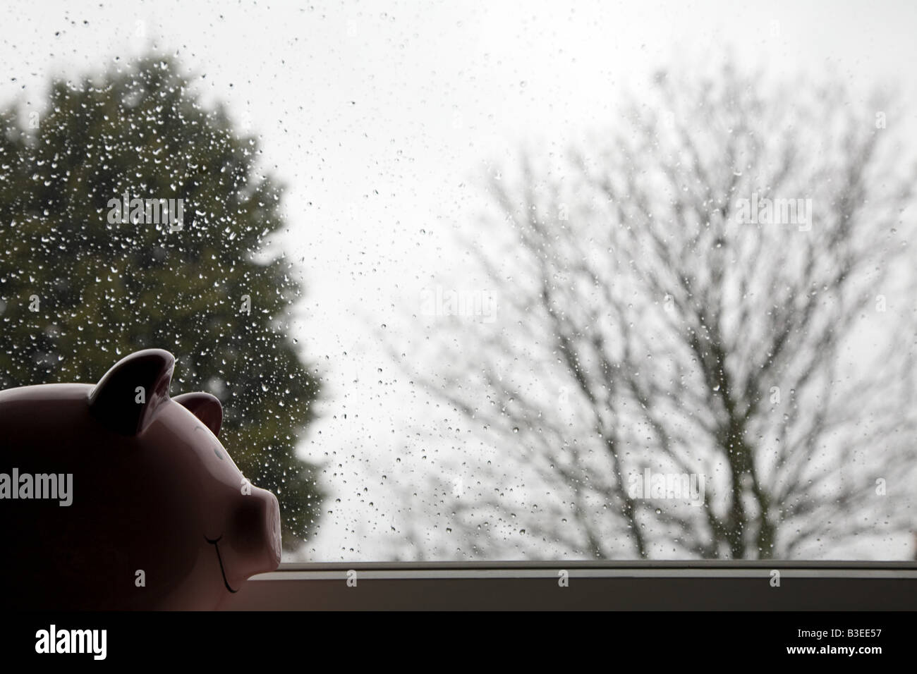 Piggy Bank durch regen bedeckt Fenster Stockfoto