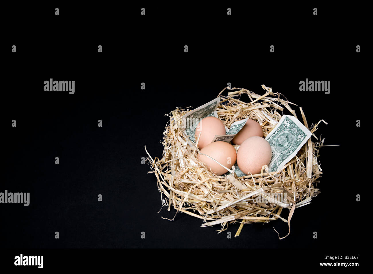 Eiern und Dollar im nest Stockfoto