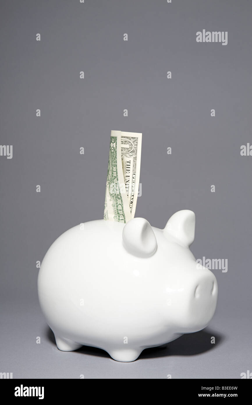 Sparschwein mit einer Dollar-note Stockfoto