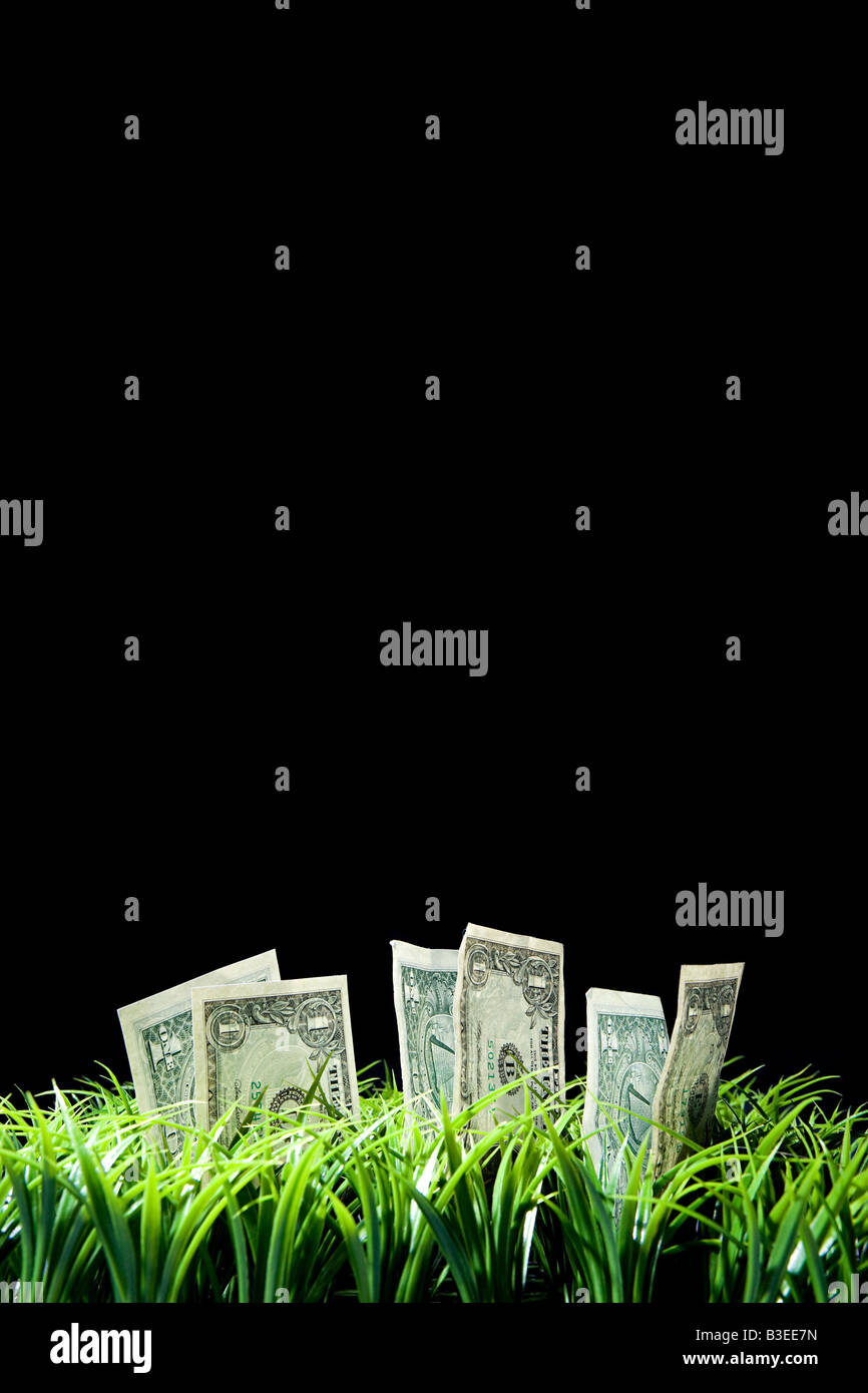 Geld aus einem Rasen wachsen Stockfoto