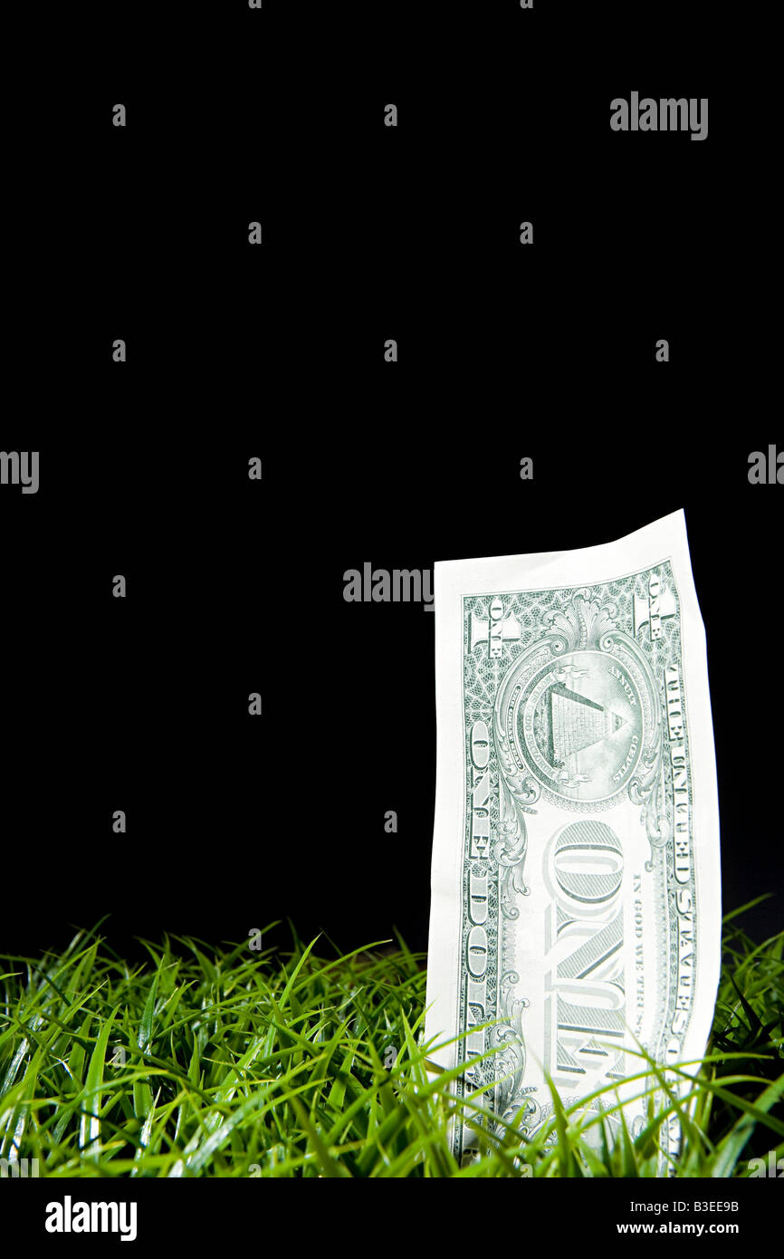 Ein Dollar-Note von Rasen wächst Stockfoto