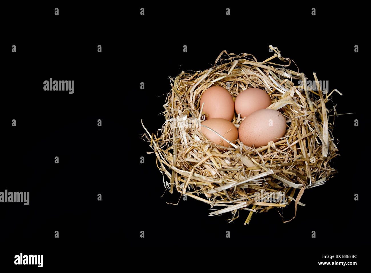 Eiern in einem Stroh nest Stockfoto