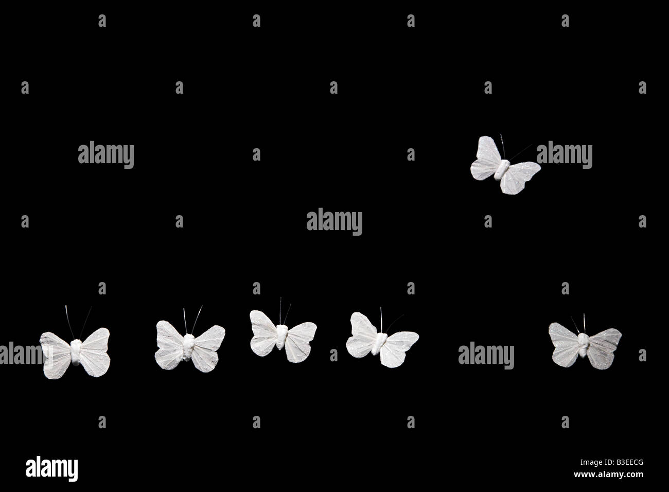 Schmetterling fliegen weg von anderen Stockfoto