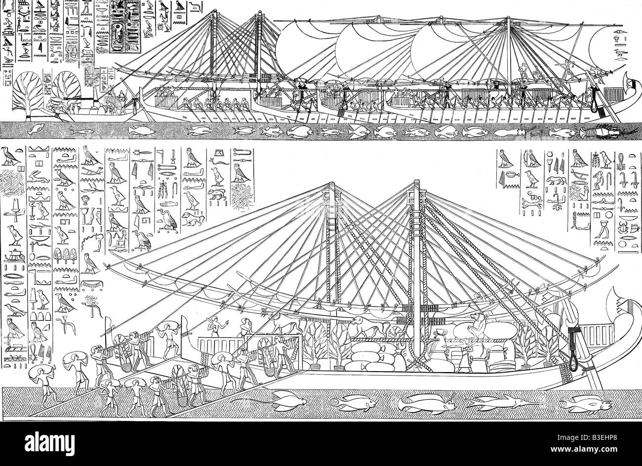 Geografie/Reise, Ägypten, Transport/Transport, Expedition nach Punt, Schiffe werden geladen, Zeichnung nach Erleichterung, Tempel der Königin Hatschepsut (ca. 1490 - 1468 v. Chr.), 18. Dynadty, Deir el-Bahari, Inzenz, Tiere, Fisch, Affen, Affen, Pavian, Schrift, Hieroglyphen, Afrika, el Bahari, historisch, historisch, alt, alt, Welt, alt Stockfoto