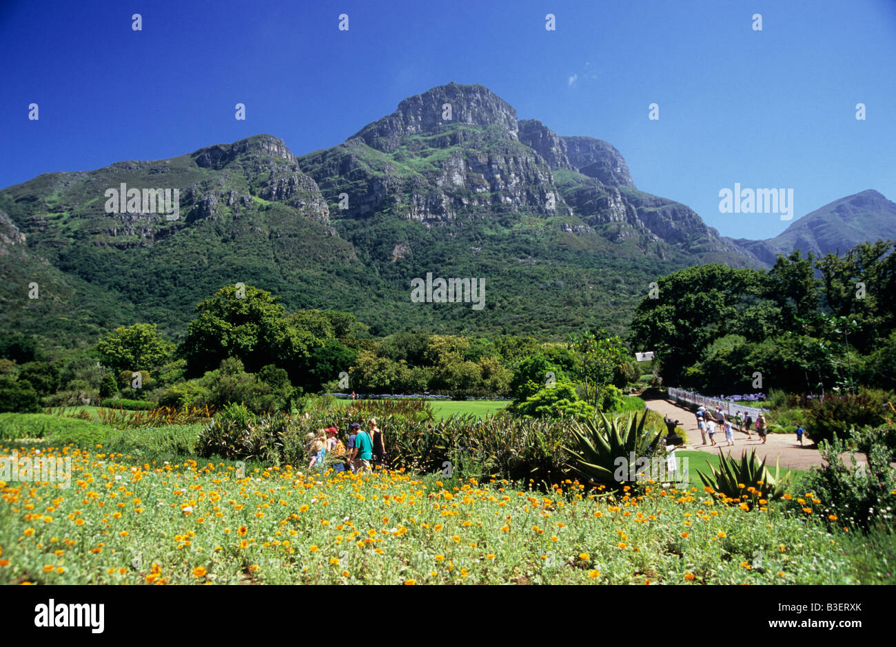Menschen wandern in Touristenattraktion Kirstenbosch Botanischer Garten Cape Town-Südafrika reisen Stockfoto