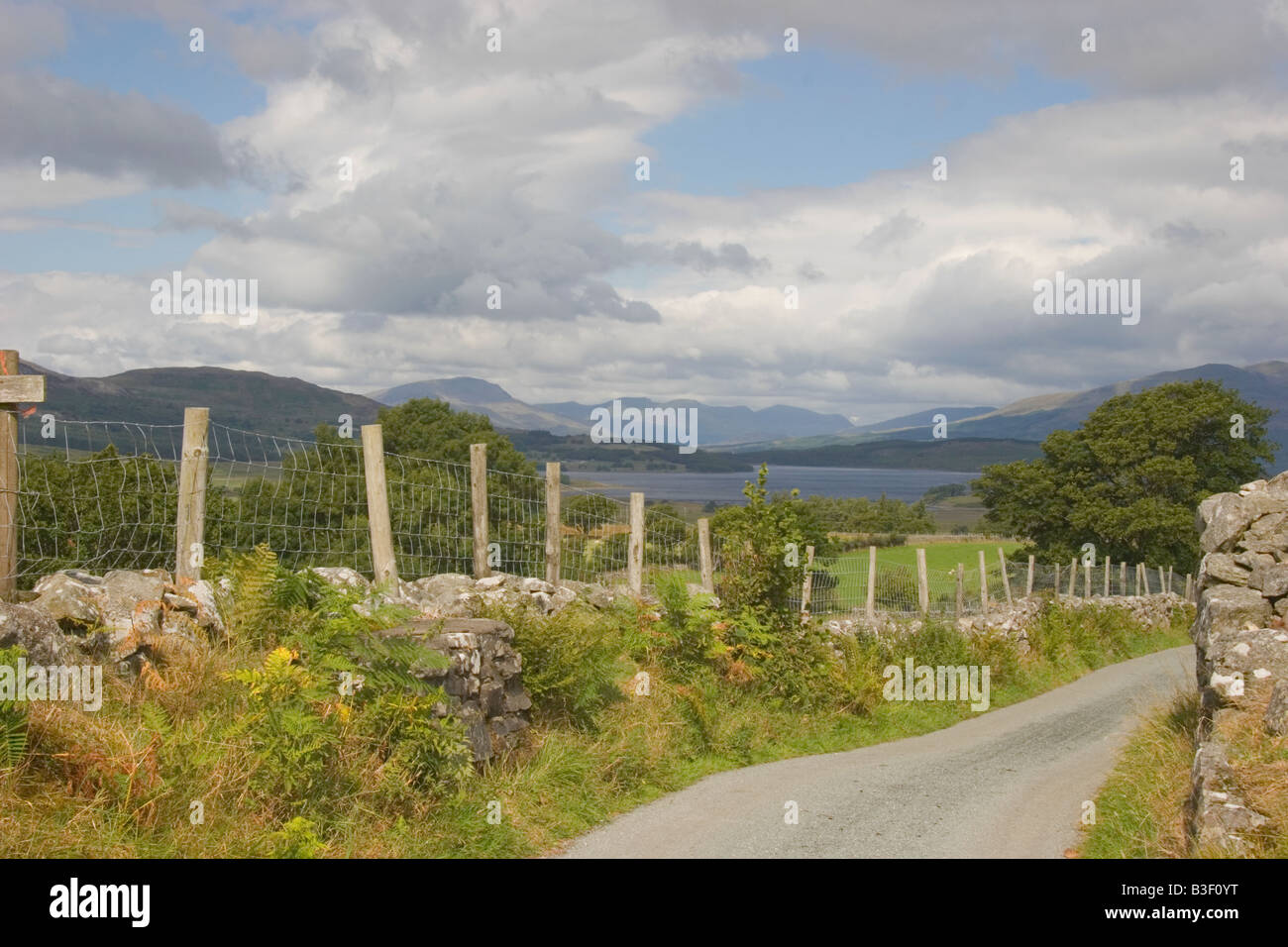 Feldweg in der Nähe von Barmouth, Snowdonia National Park, North Wales, Großbritannien, UK Stockfoto