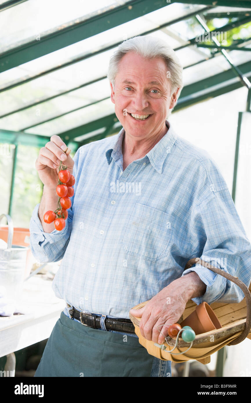 Mann im Gewächshaus halten lächelnd Cherry-Tomaten Stockfoto