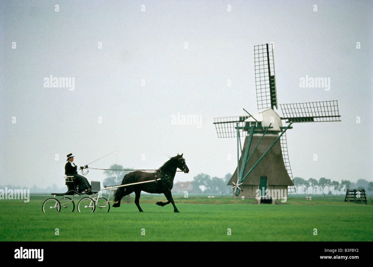 WASSERWEGE FRIESLAND HOLLAND FRIESAN PFERDEWAGEN TRAB VORBEI AN EINER WINDMÜHLE HIDDARD 1997 Stockfoto