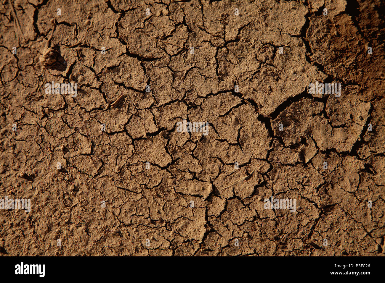 Trockene rissige Erde braun Stockfoto
