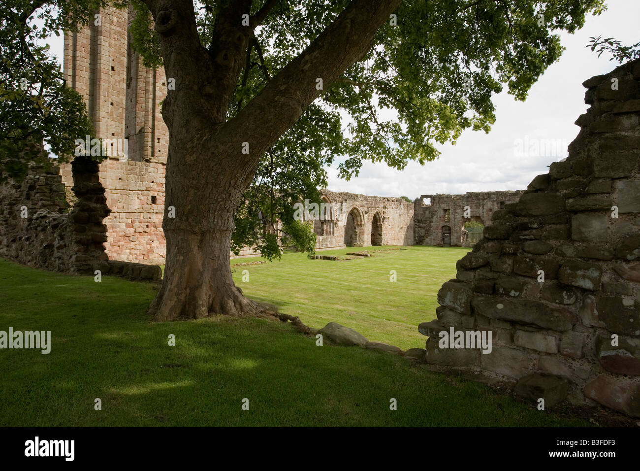 Blick auf den Osten Wand Kapitelsaal betrachtet man vorbei an der südlichen Trancept Croxden Abtei Staffordshire Stockfoto