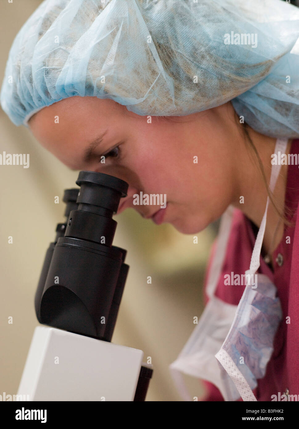 Embryologe mit Mikroskop, die Durchführung einer Intra-cytoplasmatische Spermieninjektion (Tiefenschärfe) Stockfoto