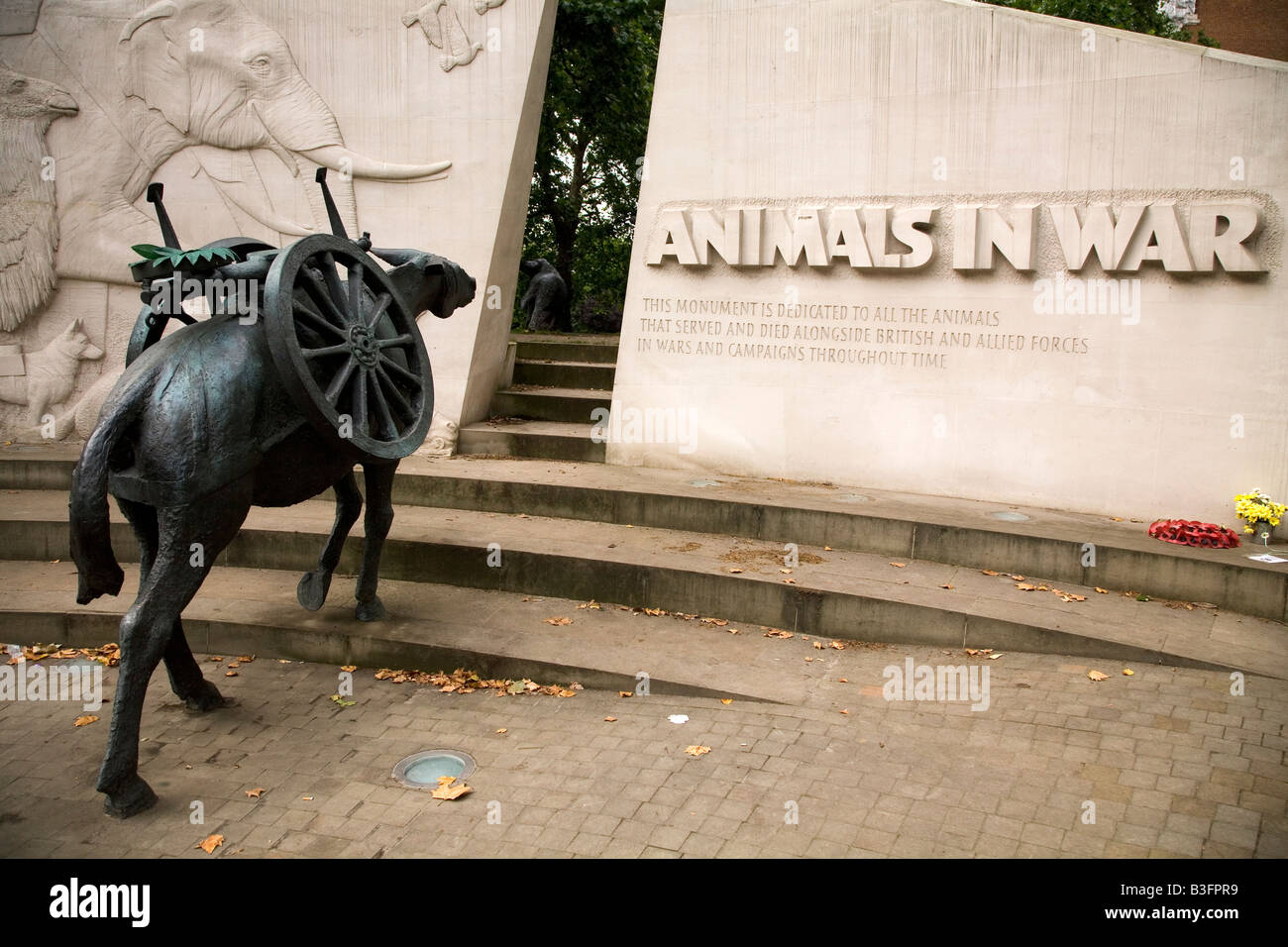 Die Tiere im Krieg-Denkmal, gewidmet dem Andenken an den Tieren, die in Kriegen, in London, England serviert. Stockfoto